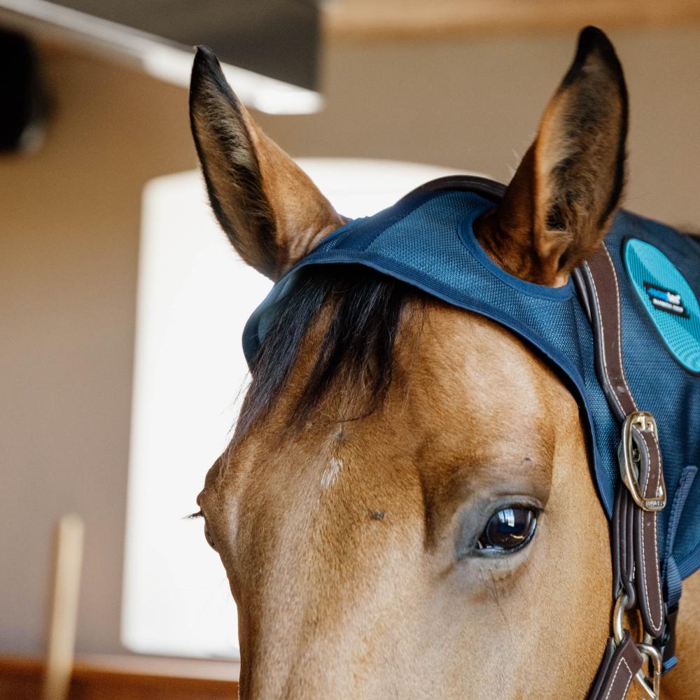 Magnetic Neck Protector Recuptex | Kentucky Horsewear | Recovery — Image 3