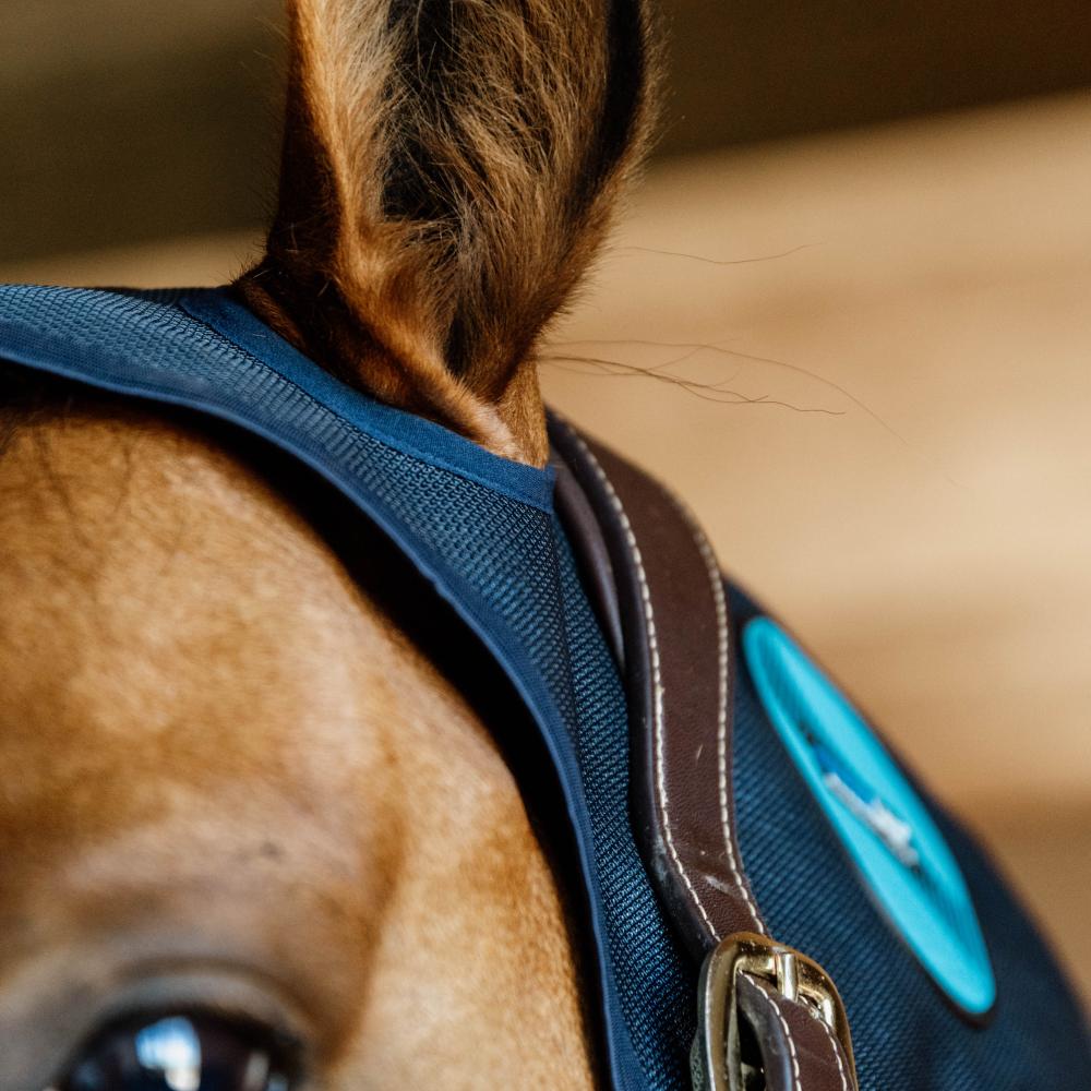 Magnetic Neck Protector Recuptex | Kentucky Horsewear | Recovery — Image 4