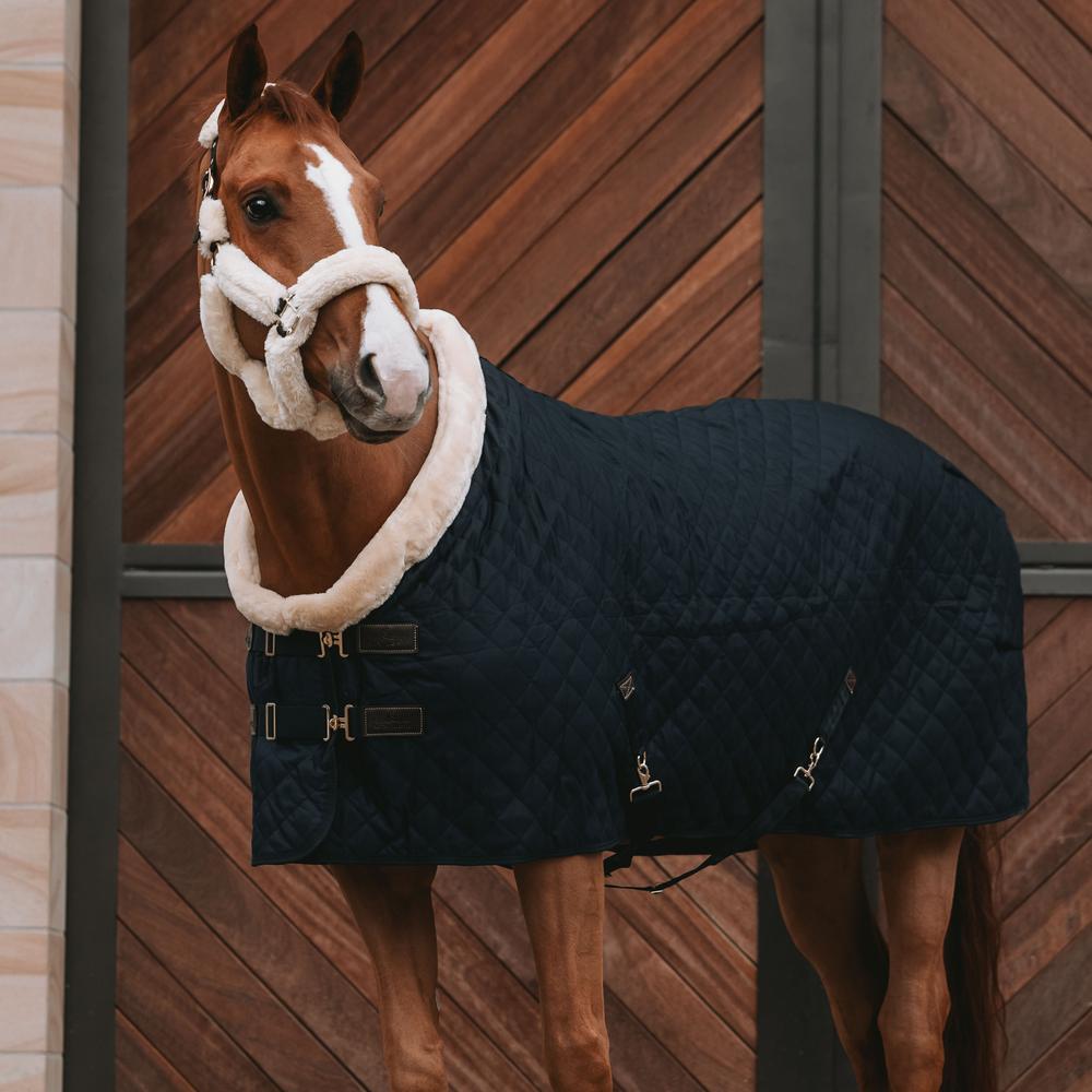 Show Rug | Kentucky Horsewear | Durable — Image 2