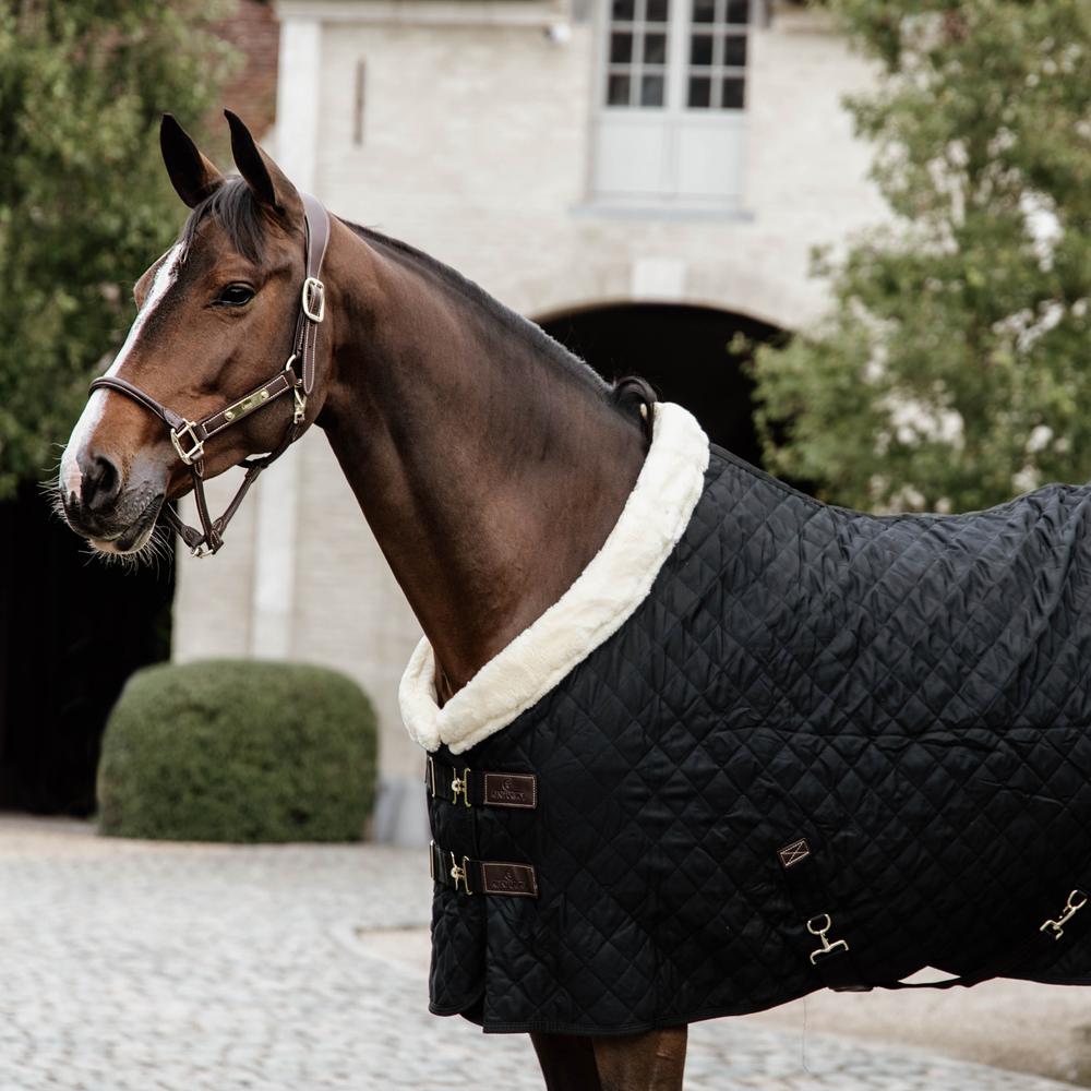 Show Rug | Kentucky Horsewear | Durable — Image 5