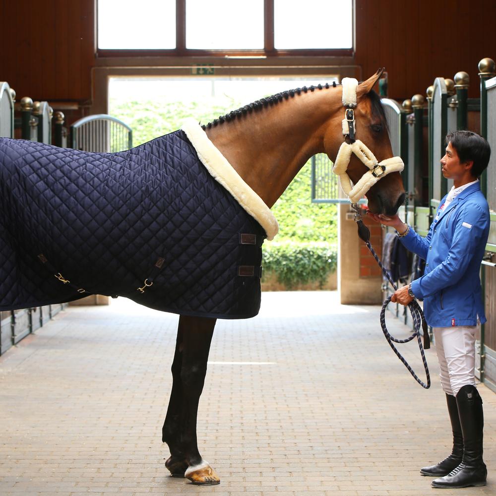 Show Rug | Kentucky Horsewear | Durable — Image 9