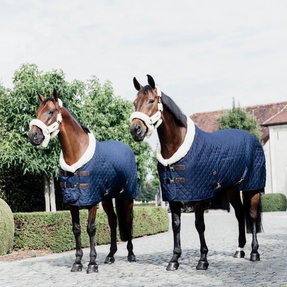 Show Rug | Kentucky Horsewear | Durable — Image 20