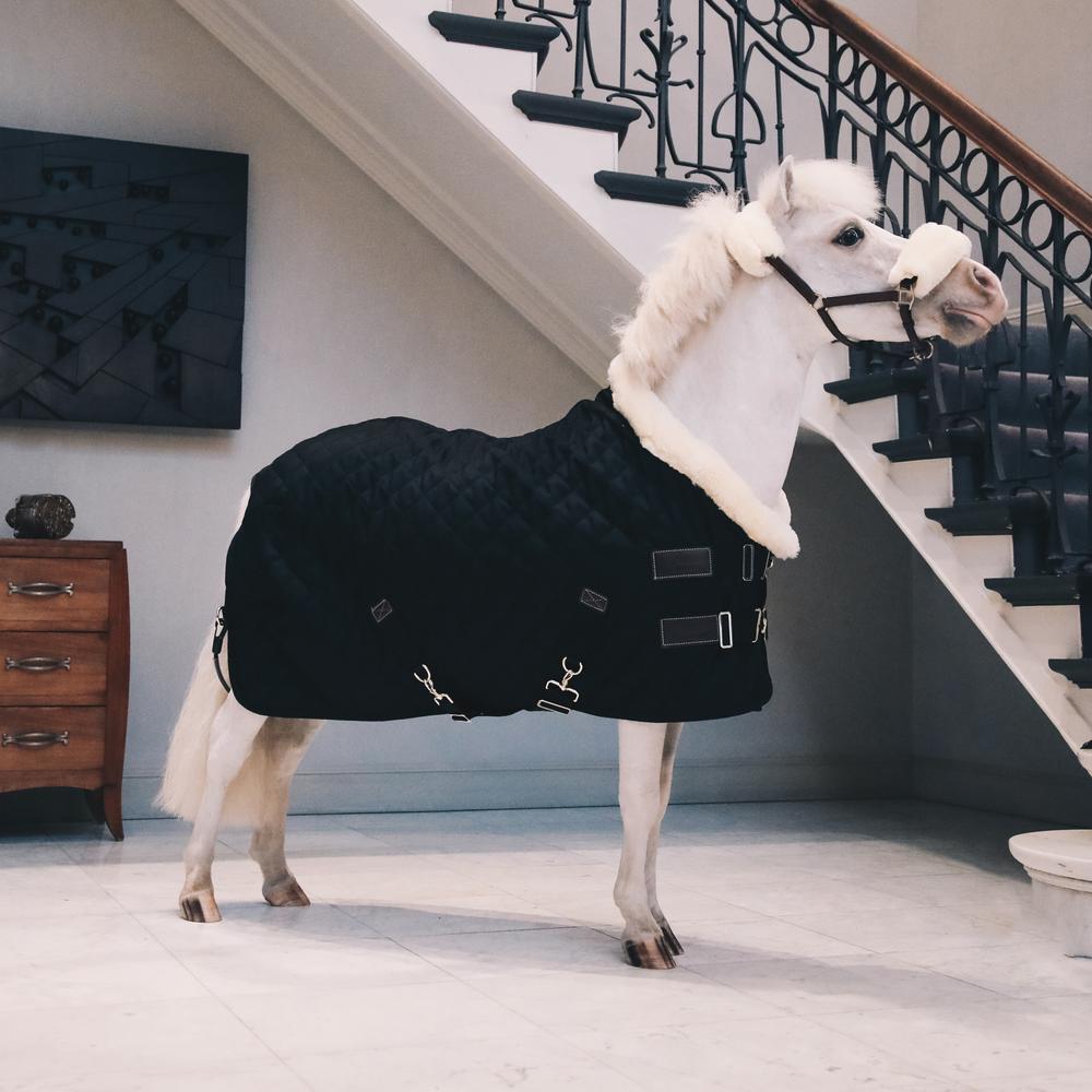 Show Rug | Kentucky Horsewear | Durable — Image 13