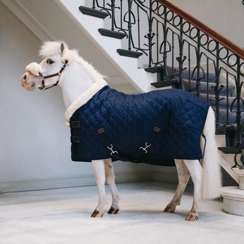 Show Rug | Kentucky Horsewear | Durable — Image 16
