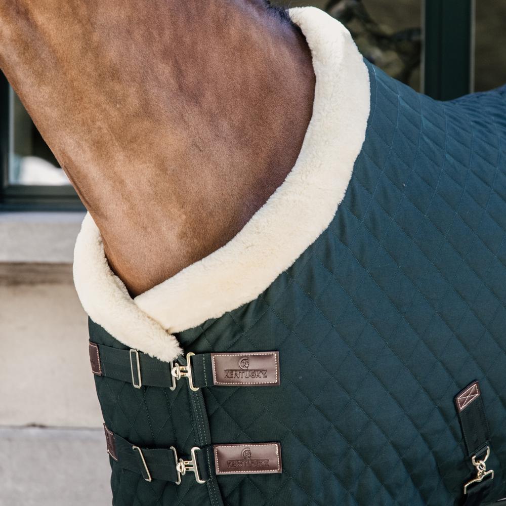 Show Rug | Kentucky Horsewear | Durable — Image 18