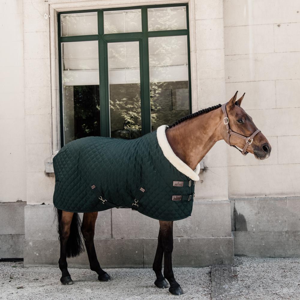 Show Rug | Kentucky Horsewear | Durable — Image 19