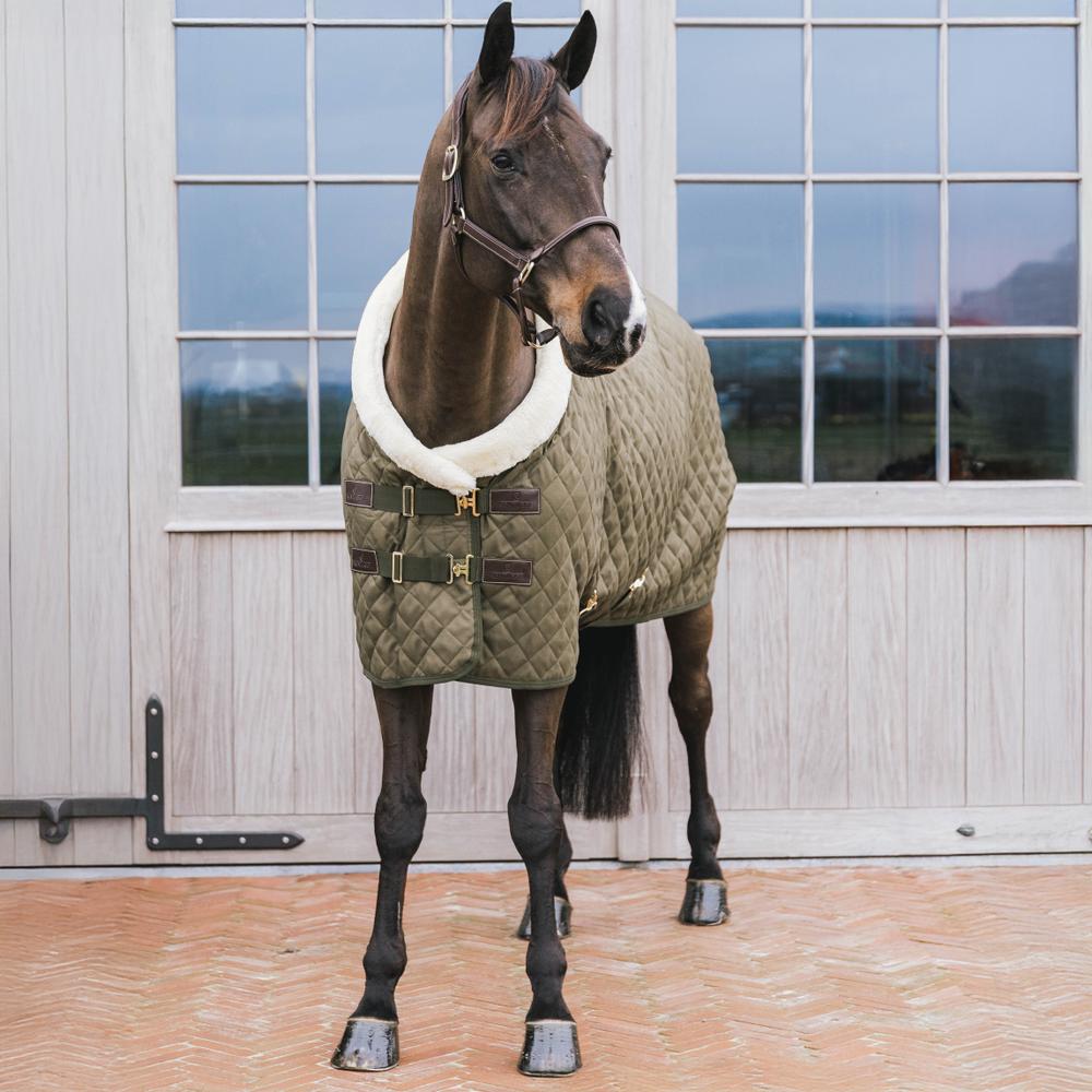 Show Rug | Kentucky Horsewear | Durable — Image 15