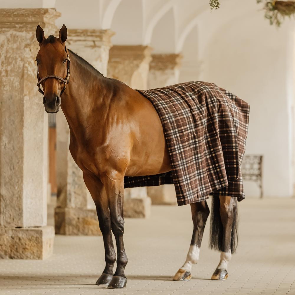 Heavy Fleece Rug Square | Kentucky Horsewear | Multi-purpose — Image 11