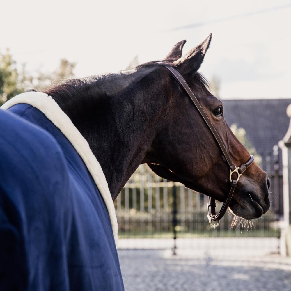 Fleece Show Rug Heavy | Kentucky Horsewear | luxuriouscomfort — Image 17