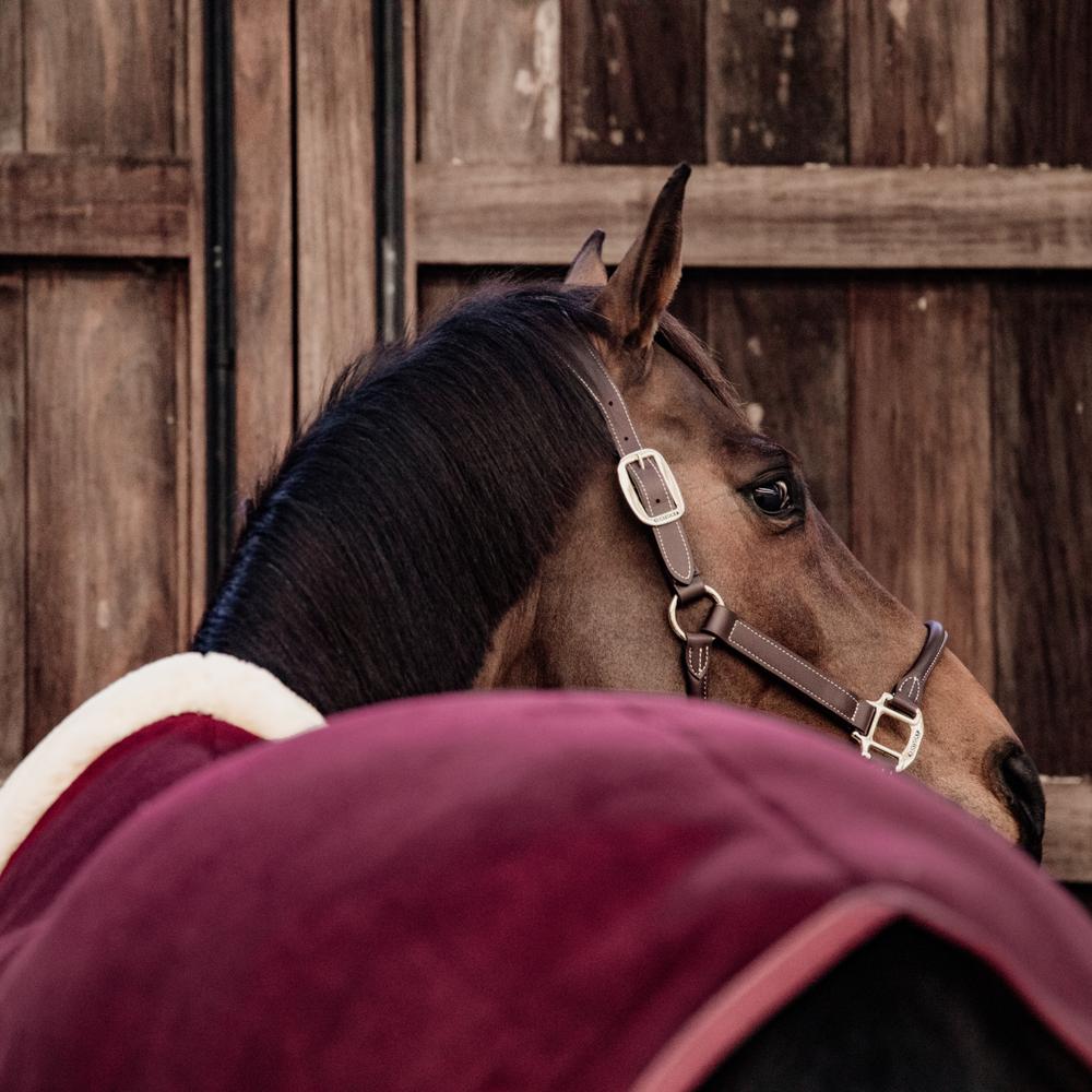 Fleece Show Rug Heavy | Kentucky Horsewear | luxuriouscomfort — Image 18