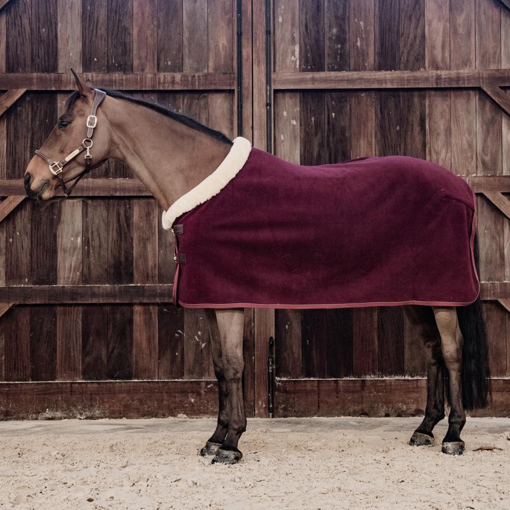 Fleece Show Rug Heavy | Kentucky Horsewear | luxuriouscomfort — Image 19