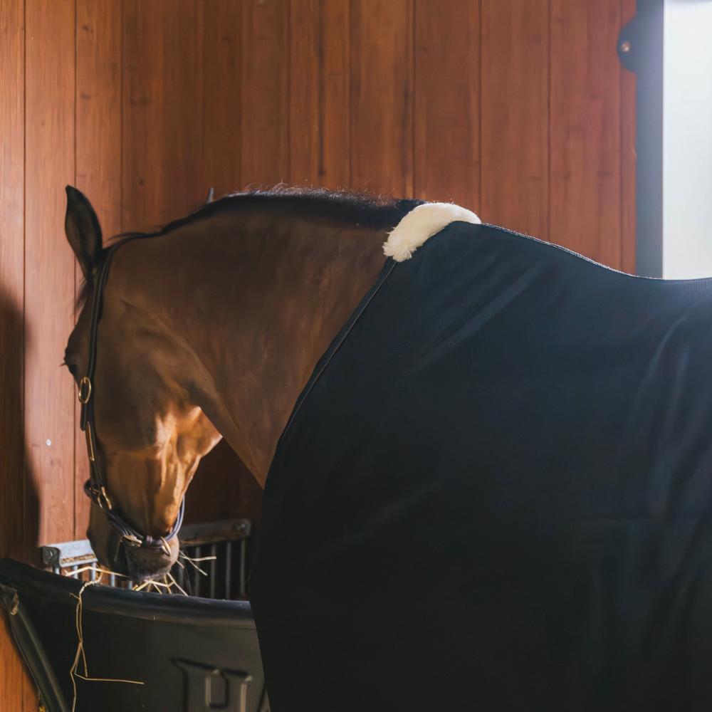 Mesh Fly Sheet | Kentucky Horsewear | breathable — Image 6