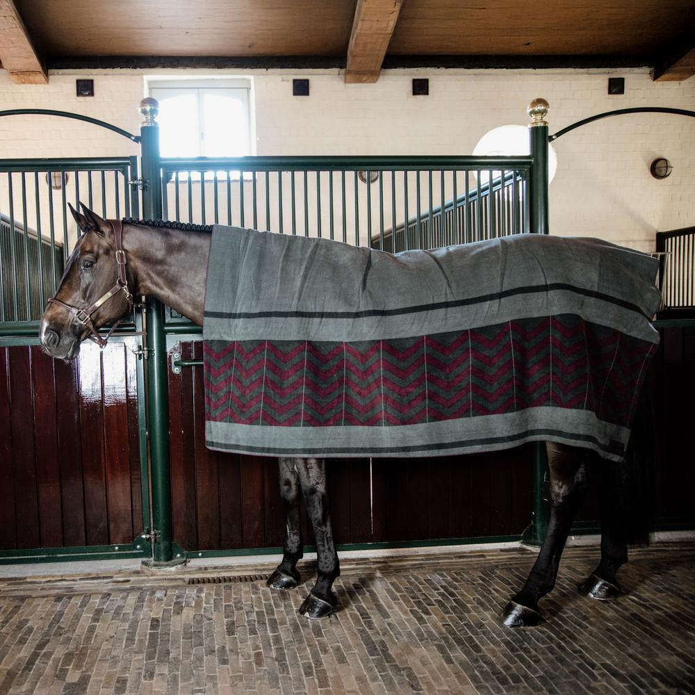 Heavy Fleece Rug Square Fishbone | Kentucky Horsewear | Versatile — Image 4
