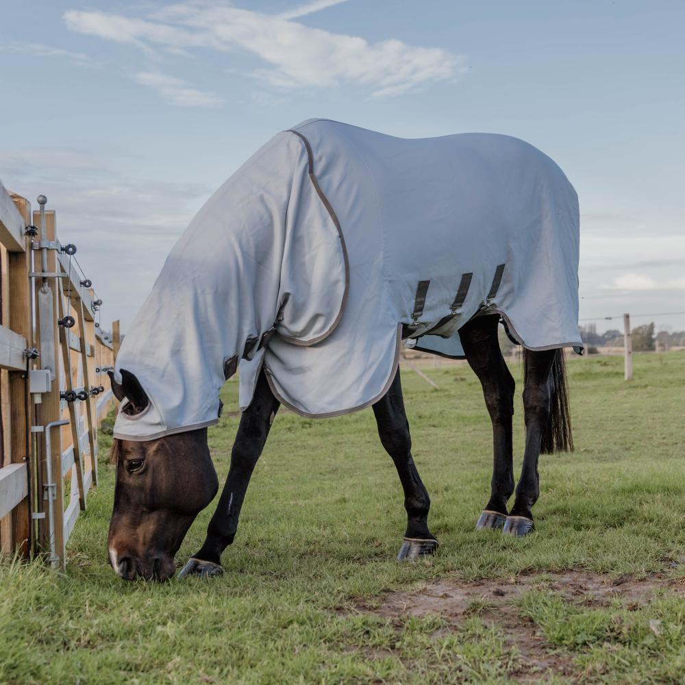 Eczema Rug | Kentucky Horsewear | EczemaProtection — Image 2
