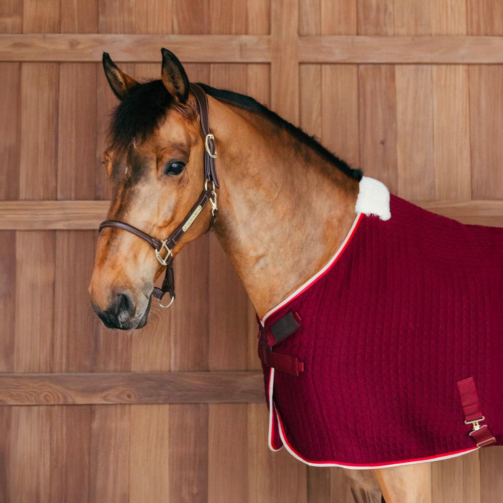 Cooler Rug PROtherm | Kentucky Horsewear | thermoregulation — Image 3