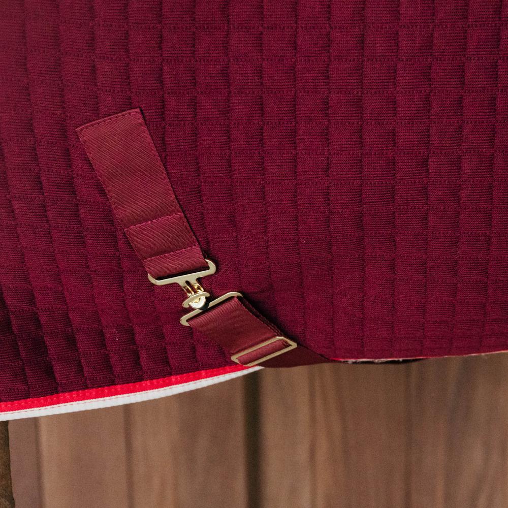 Cooler Rug PROtherm | Kentucky Horsewear | thermoregulation — Image 4