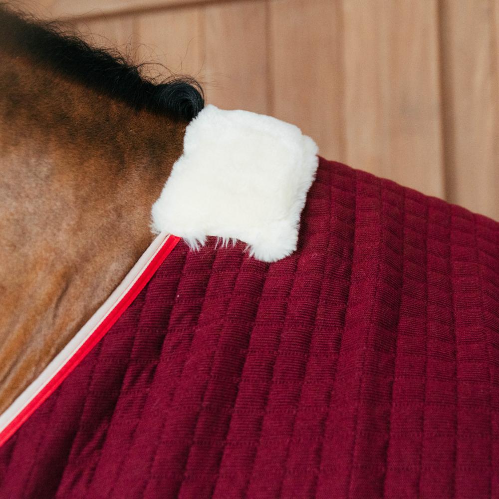 Cooler Rug PROtherm | Kentucky Horsewear | thermoregulation — Image 5