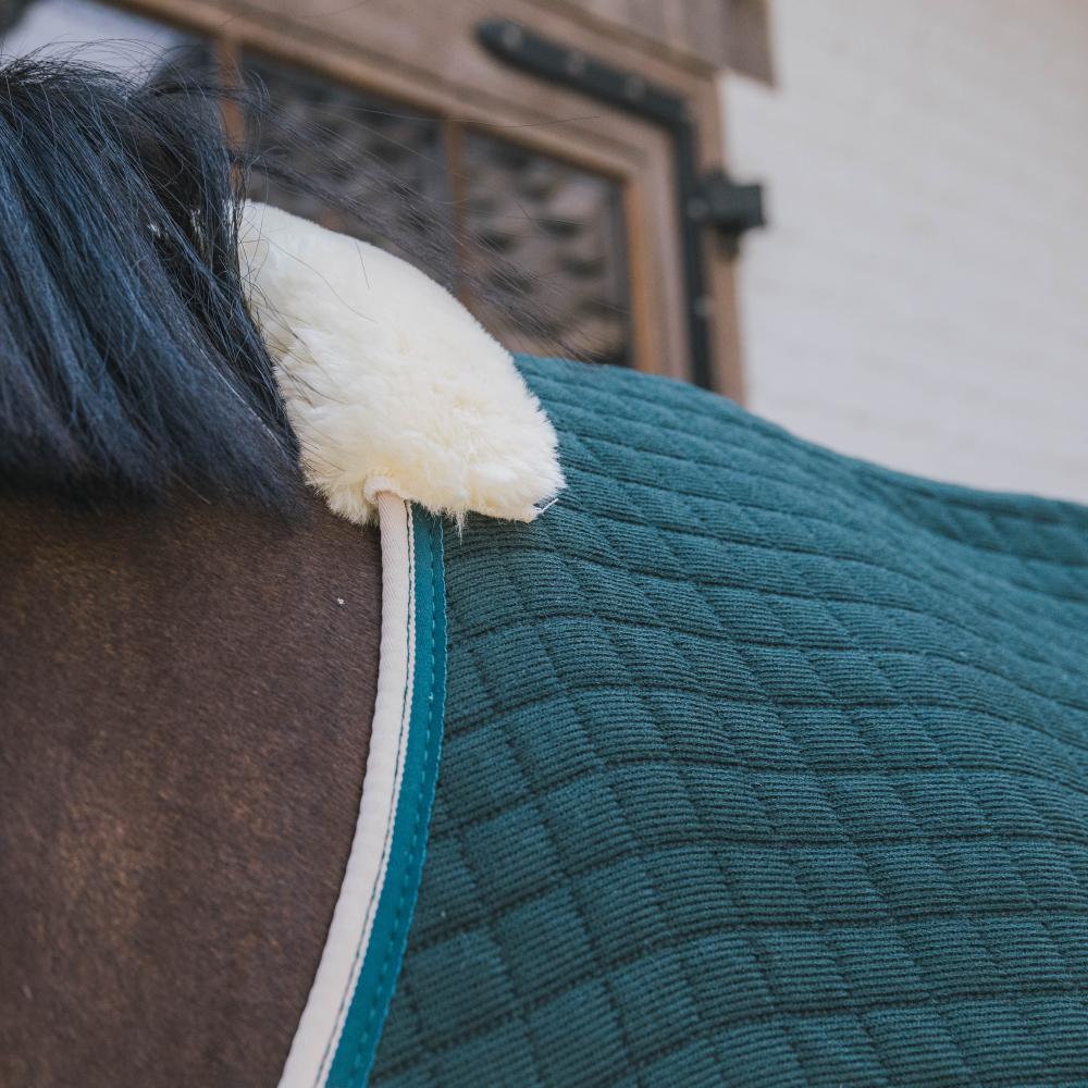 Cooler Rug PROtherm | Kentucky Horsewear | thermoregulation — Image 10