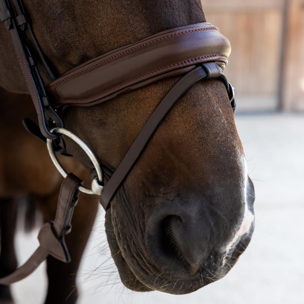Bridle Medium Noseband Soft Leather SO |  | Innovative — Image 7