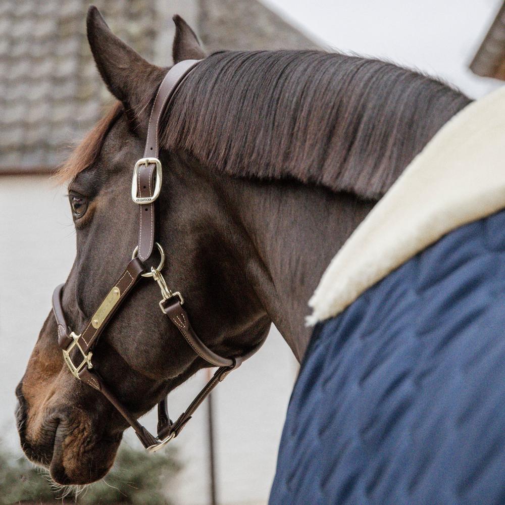 Stable Rug Comfort | Kentucky Horsewear | Comfort — Image 17