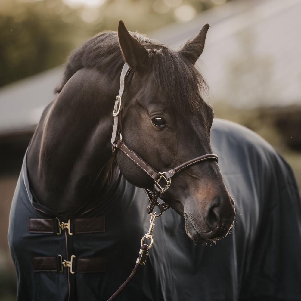 Mesh Fly Sheet | Kentucky Horsewear | breathable — Image 9