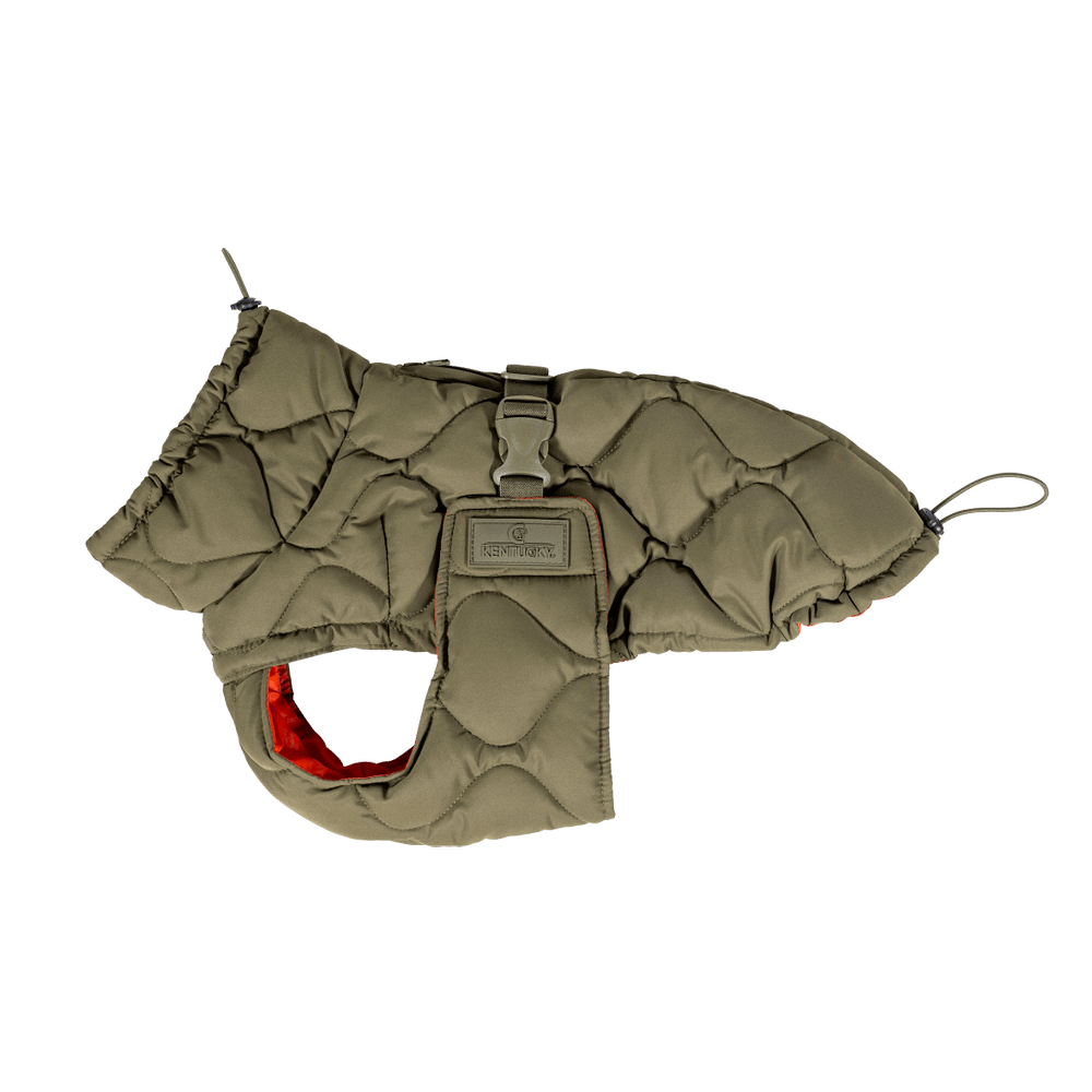 Dog Coat Winter Pina | Kentucky Dogwear | Stylish — Image 6