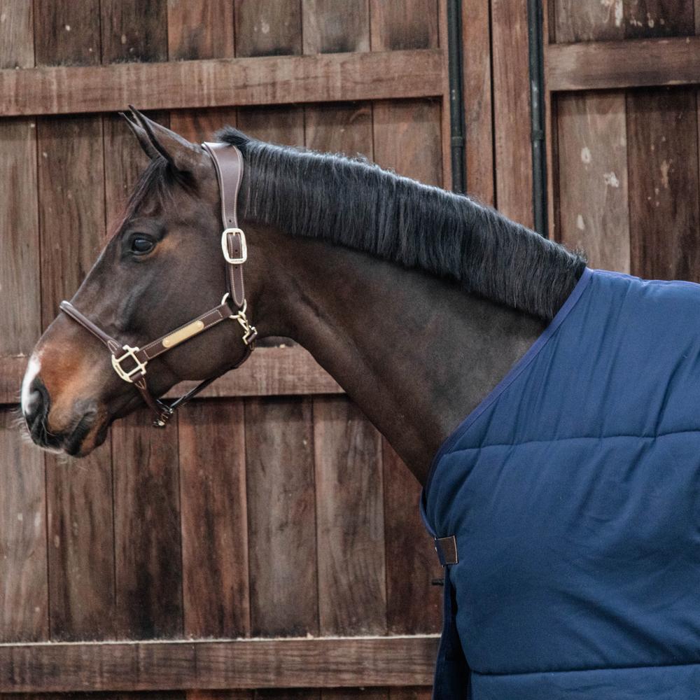 Under Rug Classic | Kentucky Horsewear | durable — Image 5