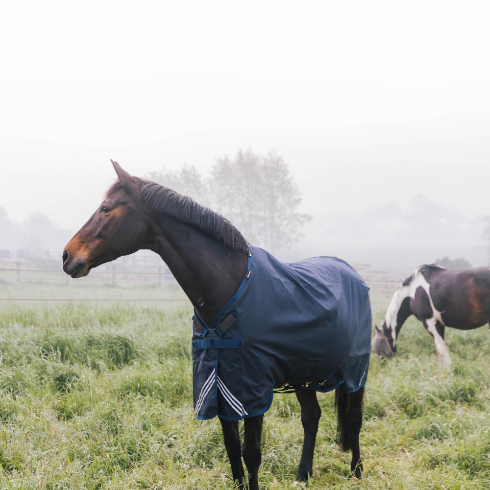 Turnout Rug All Weather Waterproof Comfort | Kentucky Horsewear | Waterproof — Image 8