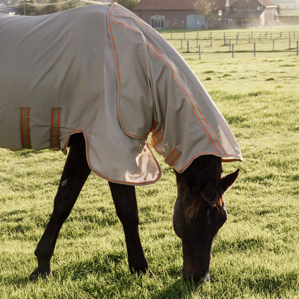 Mesh Fly Rug Comfort | Kentucky Horsewear | Durability — Image 17