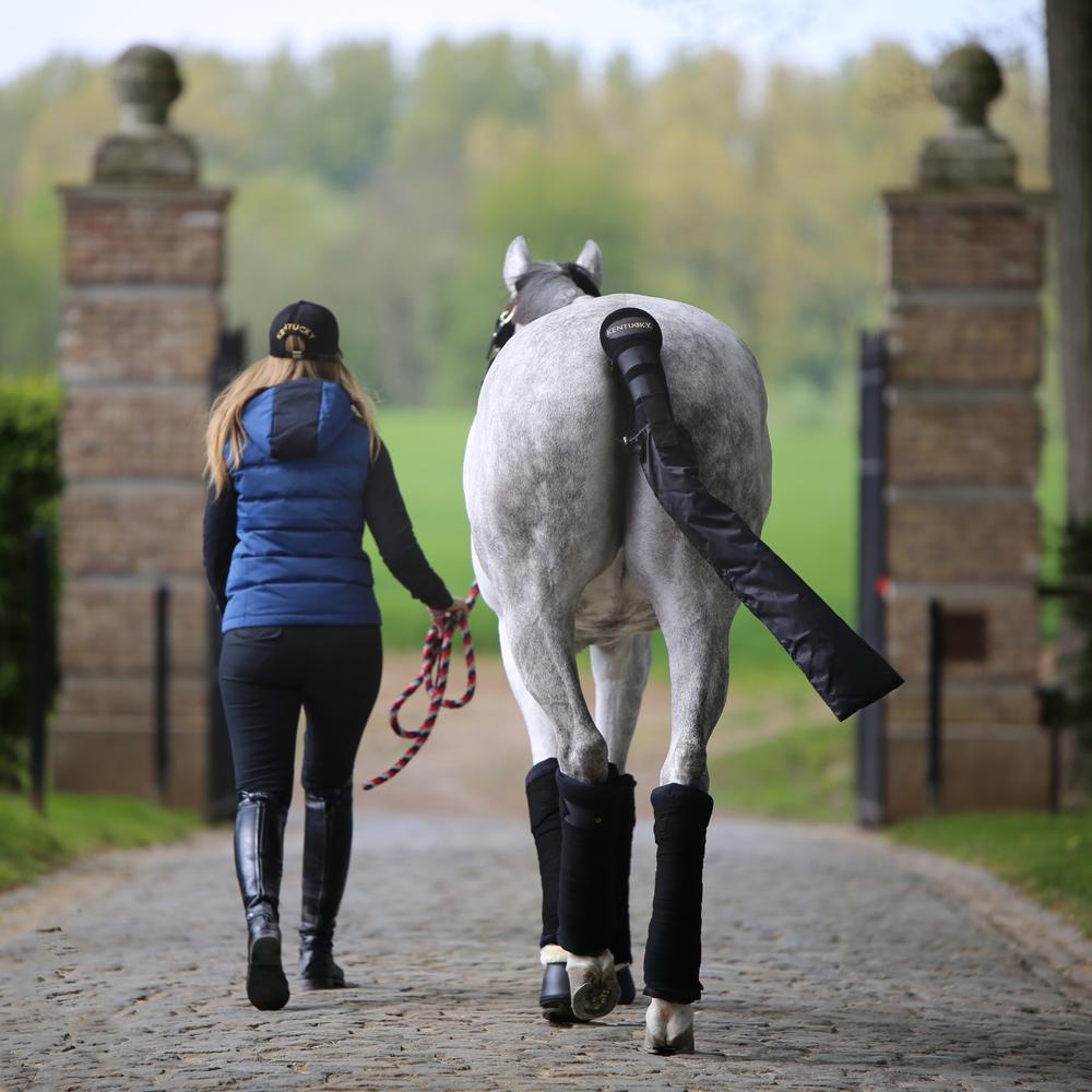Stable Bandages Pads | Kentucky Horsewear | stability — Image 6