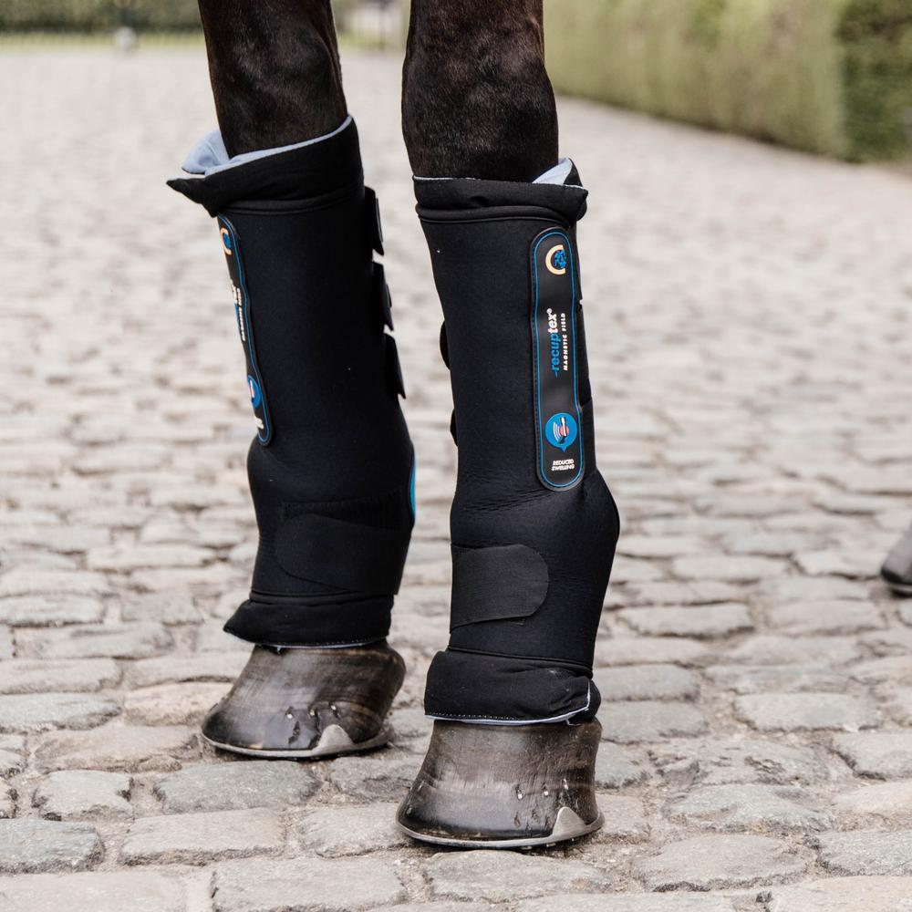 Magnetic Stable Boots Recuptex | Kentucky Horsewear | Recovery — Image 3