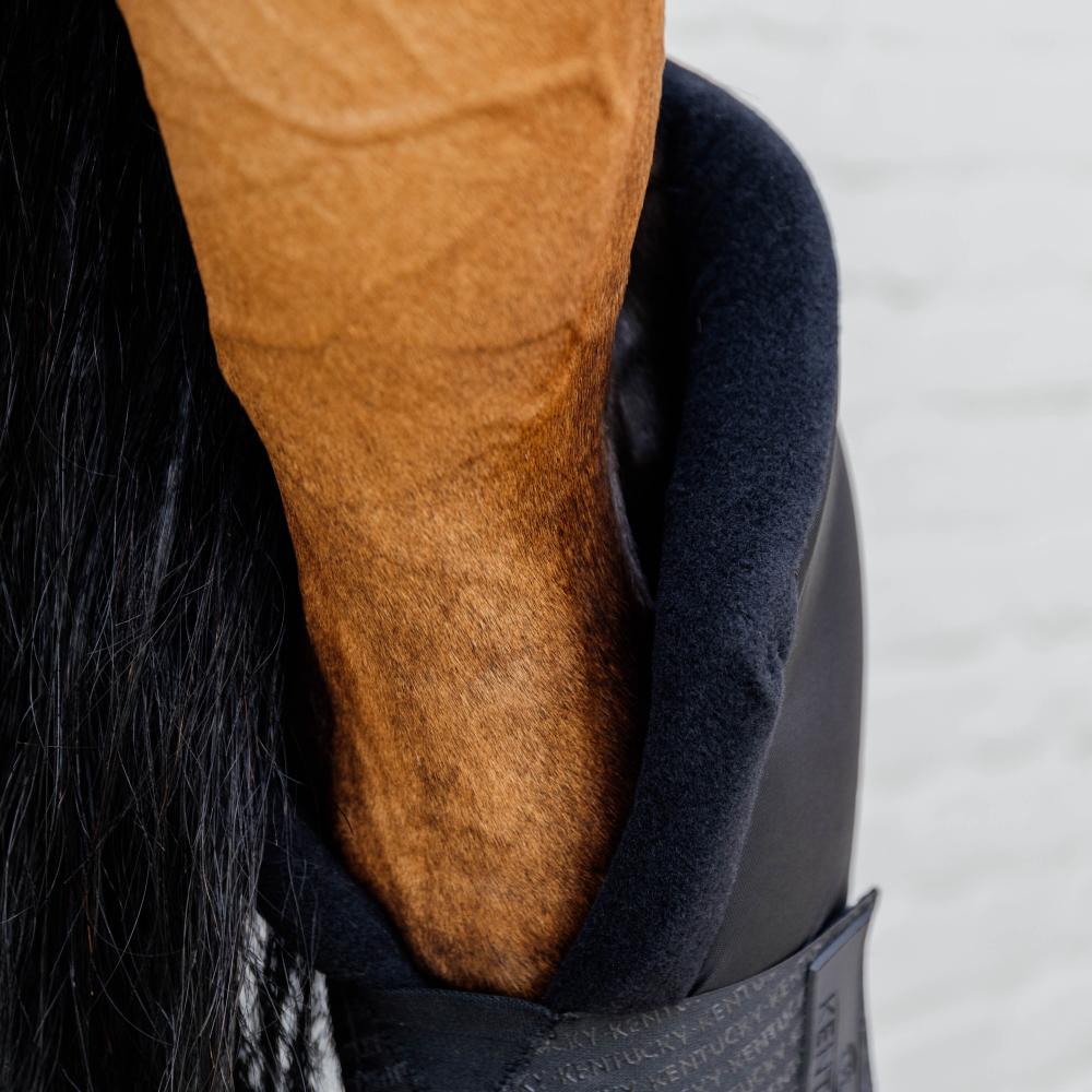 Stable boots PROtect long hind with hook protection | Kentucky Horsewear | Comfort — Image 3