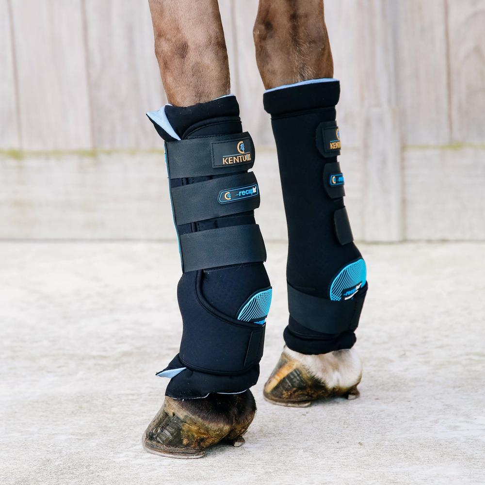 Magnetic Stable Boots Recuptex | Kentucky Horsewear | Recovery — Image 4