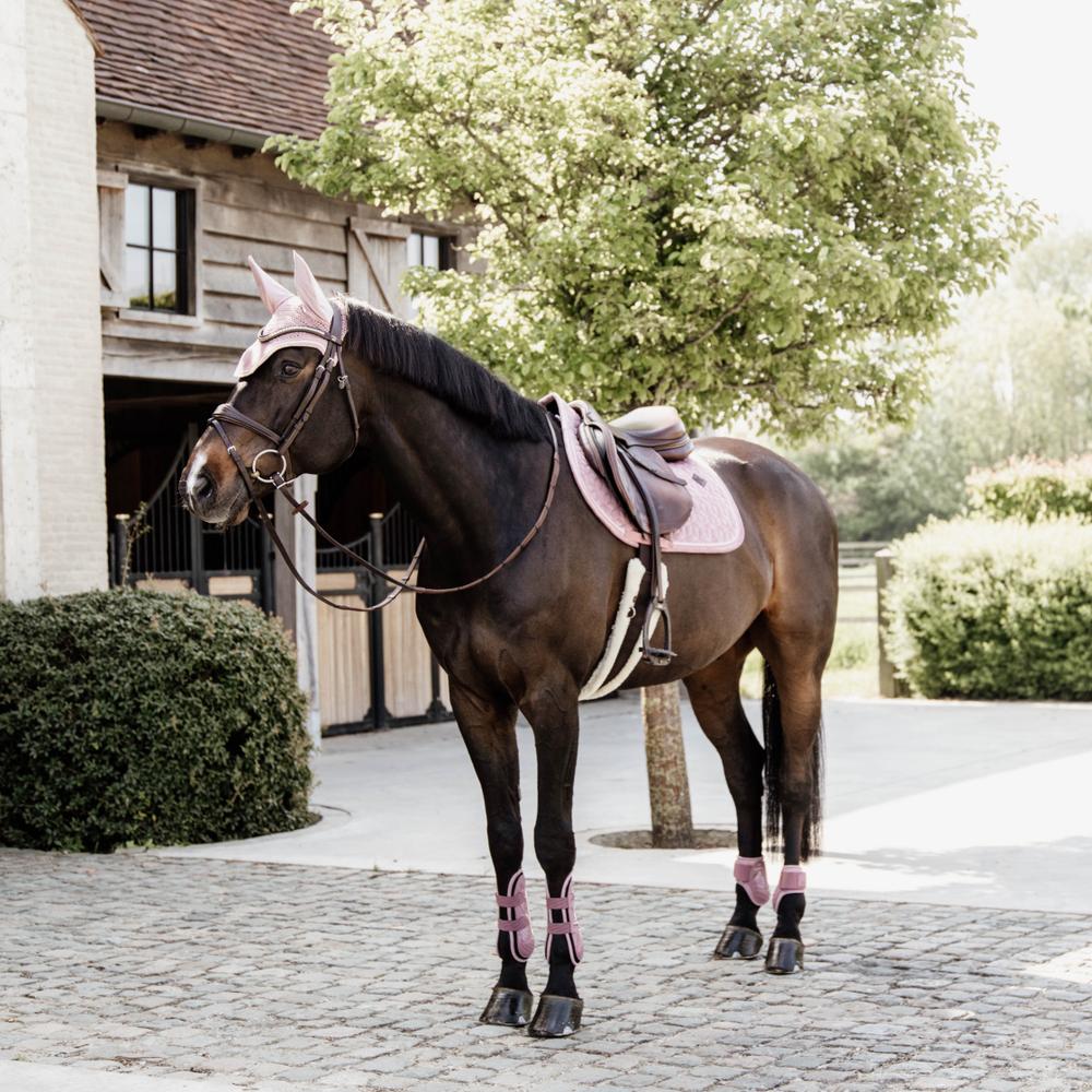 Tendon Boots Bamboo Elastic | Kentucky Horsewear | Sustainability — Image 4