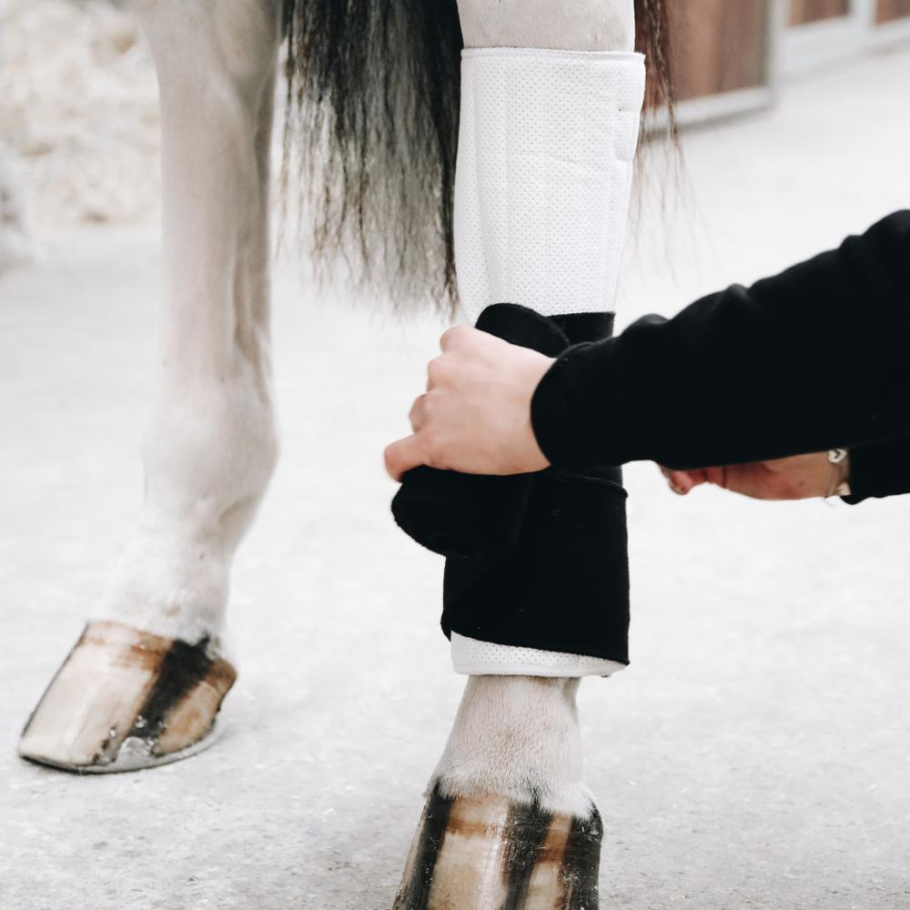 Working Bandages Pads Absorb | Kentucky Horsewear | absorbent — Image 5