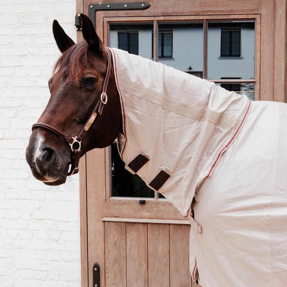 Mesh Fly Rug Comfort Classic with Neck and Belly Cover | Kentucky Horsewear | Mesh — Image 2