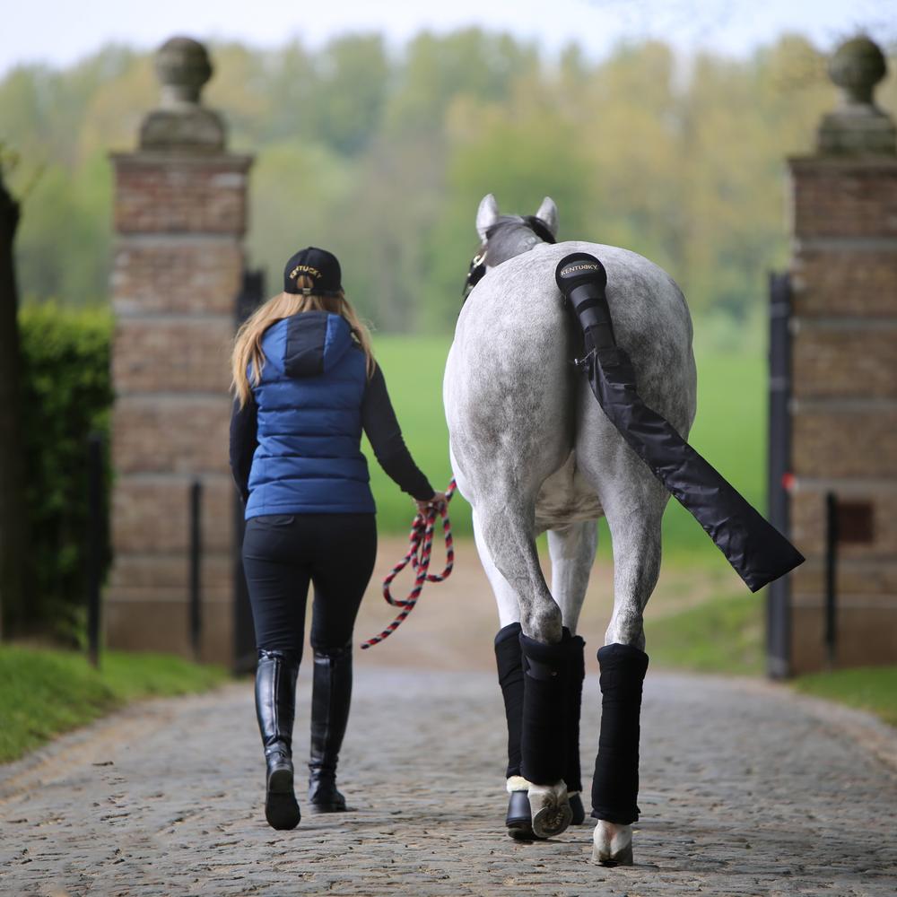 Wool Bandages | Kentucky Horsewear | Durable — Image 3