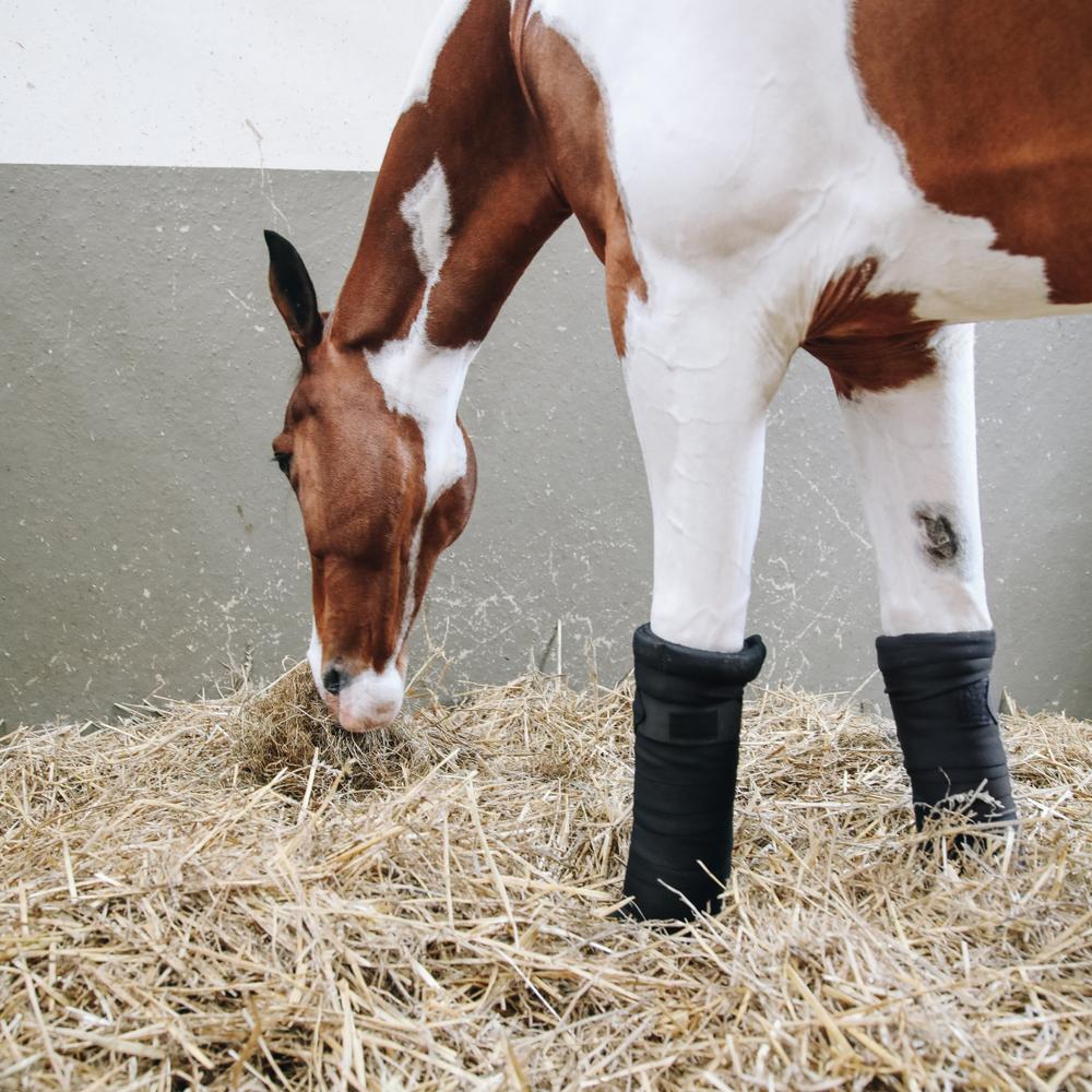 Repellent Stable Bandages | Kentucky Horsewear | Durable — Image 8