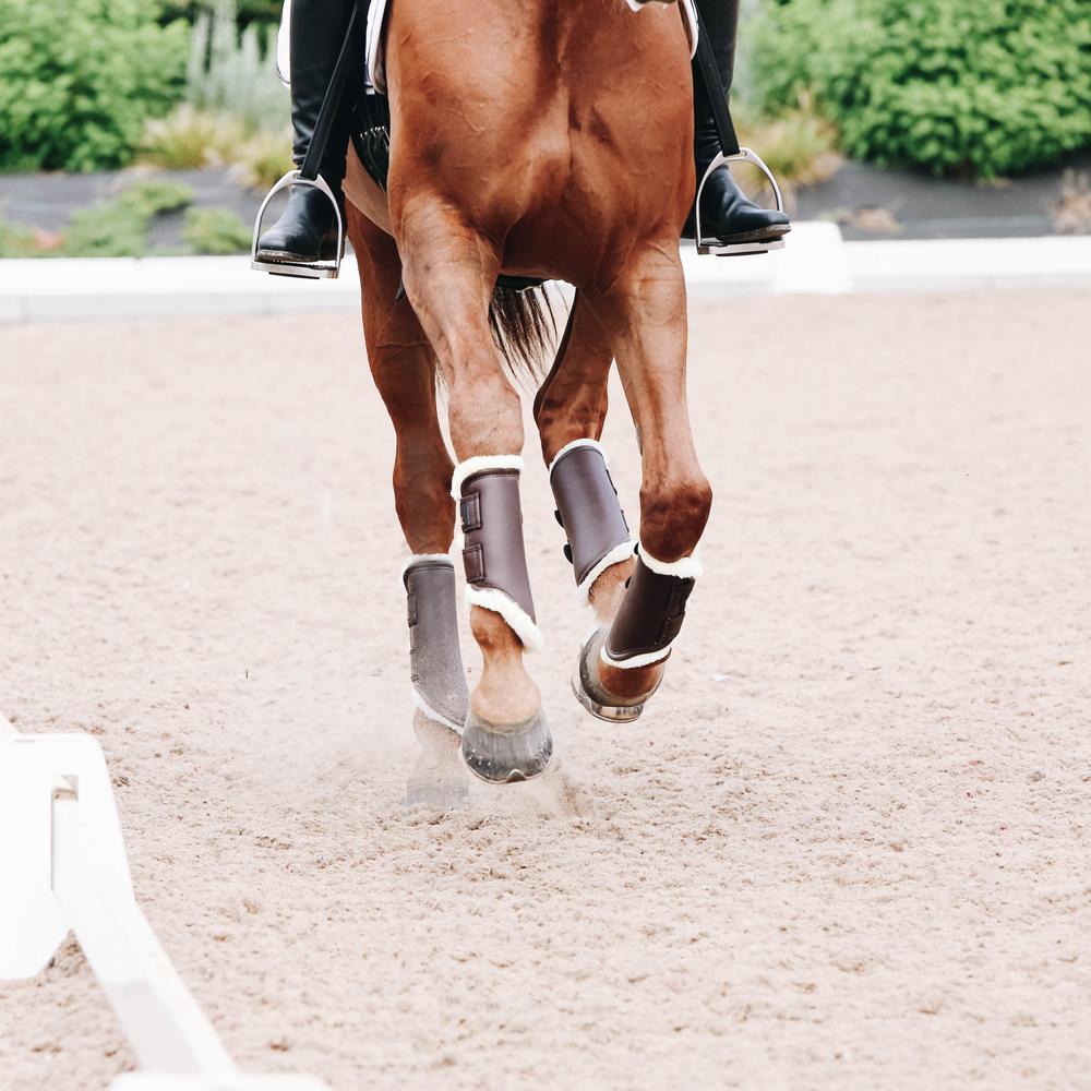 Brushing Boots Leather Front | Kentucky Horsewear | Comfort — Image 3