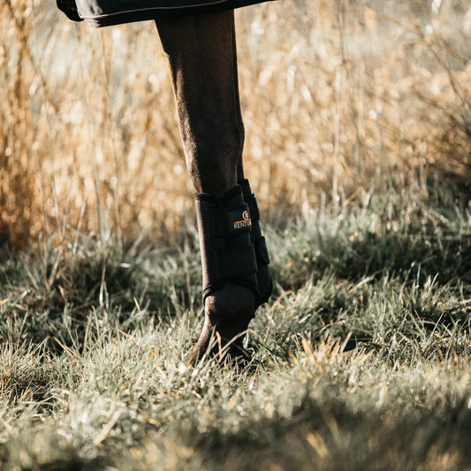 Brushing Boots 3D Spacer | Kentucky Horsewear | Comfort — Image 2