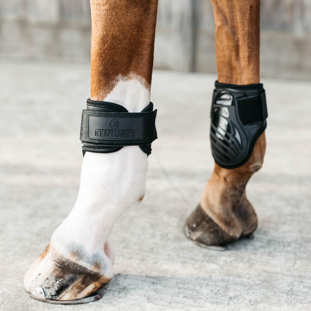 Young Horse Fetlock Boots | Kentucky Horsewear | Lightweight — Image 7