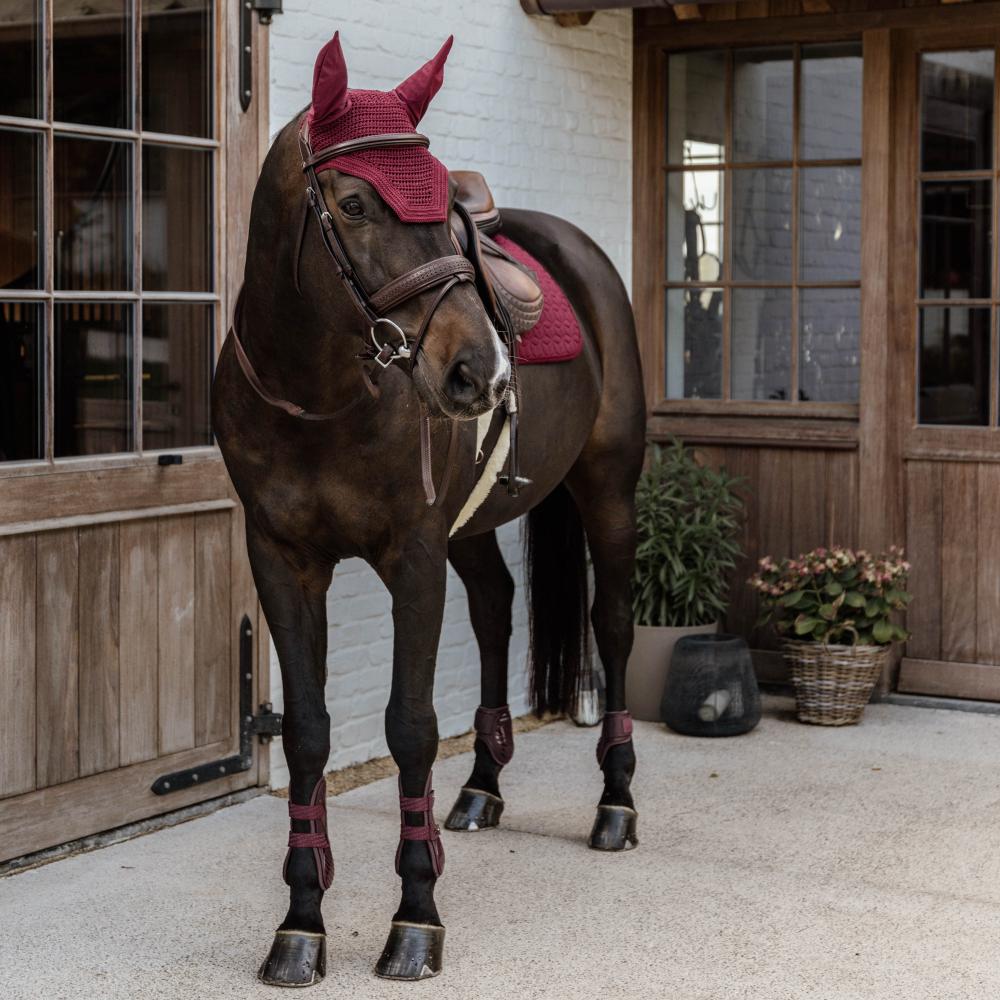 Young Horse Fetlock Boots | Kentucky Horsewear | Lightweight — Image 15