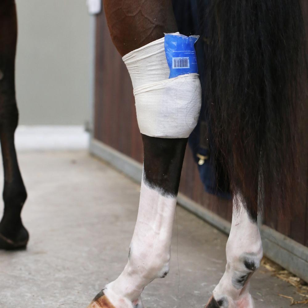 Tendon Grip Sock | Kentucky Horsewear | Protection — Image 2