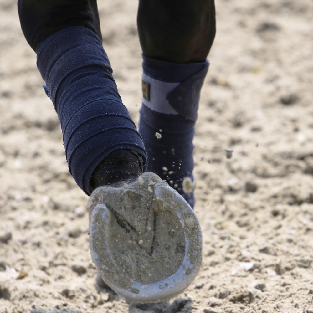 Polar Fleece Bandages | Kentucky Horsewear | Comfort — Image 5
