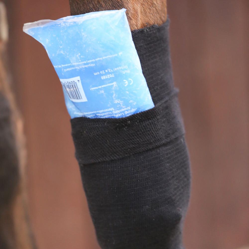 Tendon Grip Sock | Kentucky Horsewear | Protection — Image 4
