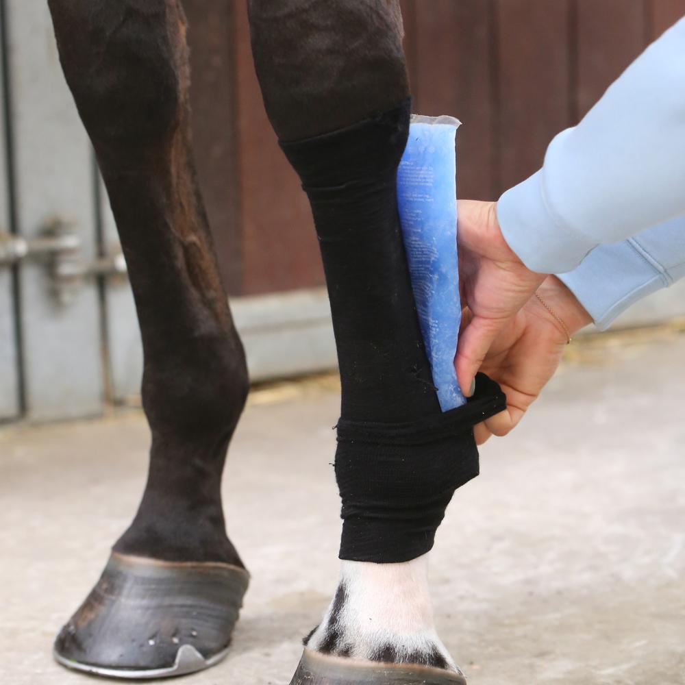 Tendon Grip Sock | Kentucky Horsewear | Protection — Image 5
