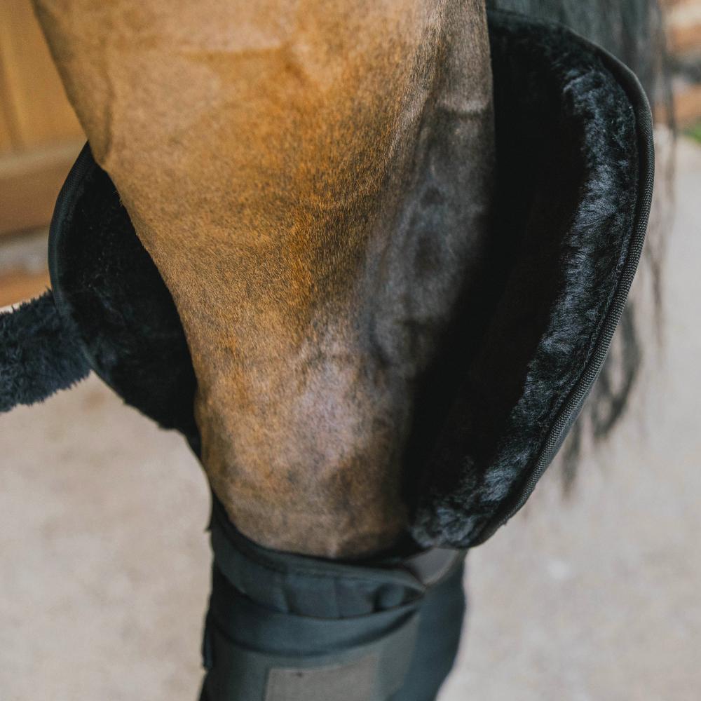 Transport Stable Bandage Pad with hock protection | Kentucky Horsewear | Protection — Image 2