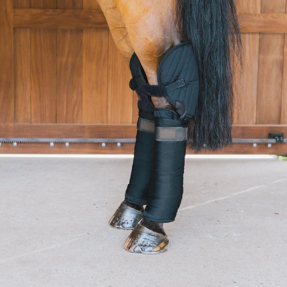 Transport Stable Bandage Pad with hock protection | Kentucky Horsewear | Protection — Image 3