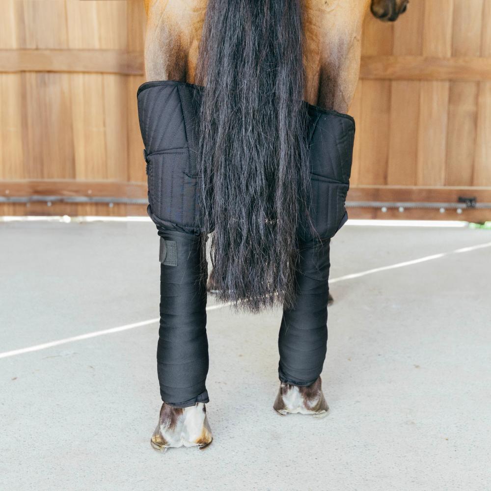 Transport Stable Bandage Pad with hock protection | Kentucky Horsewear | Protection — Image 5