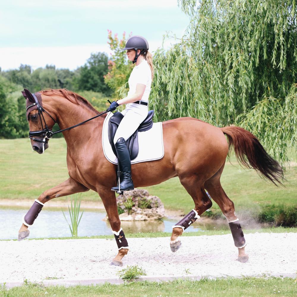 Brushing Boots Leather Hind | Kentucky Horsewear | Comfort — Image 2